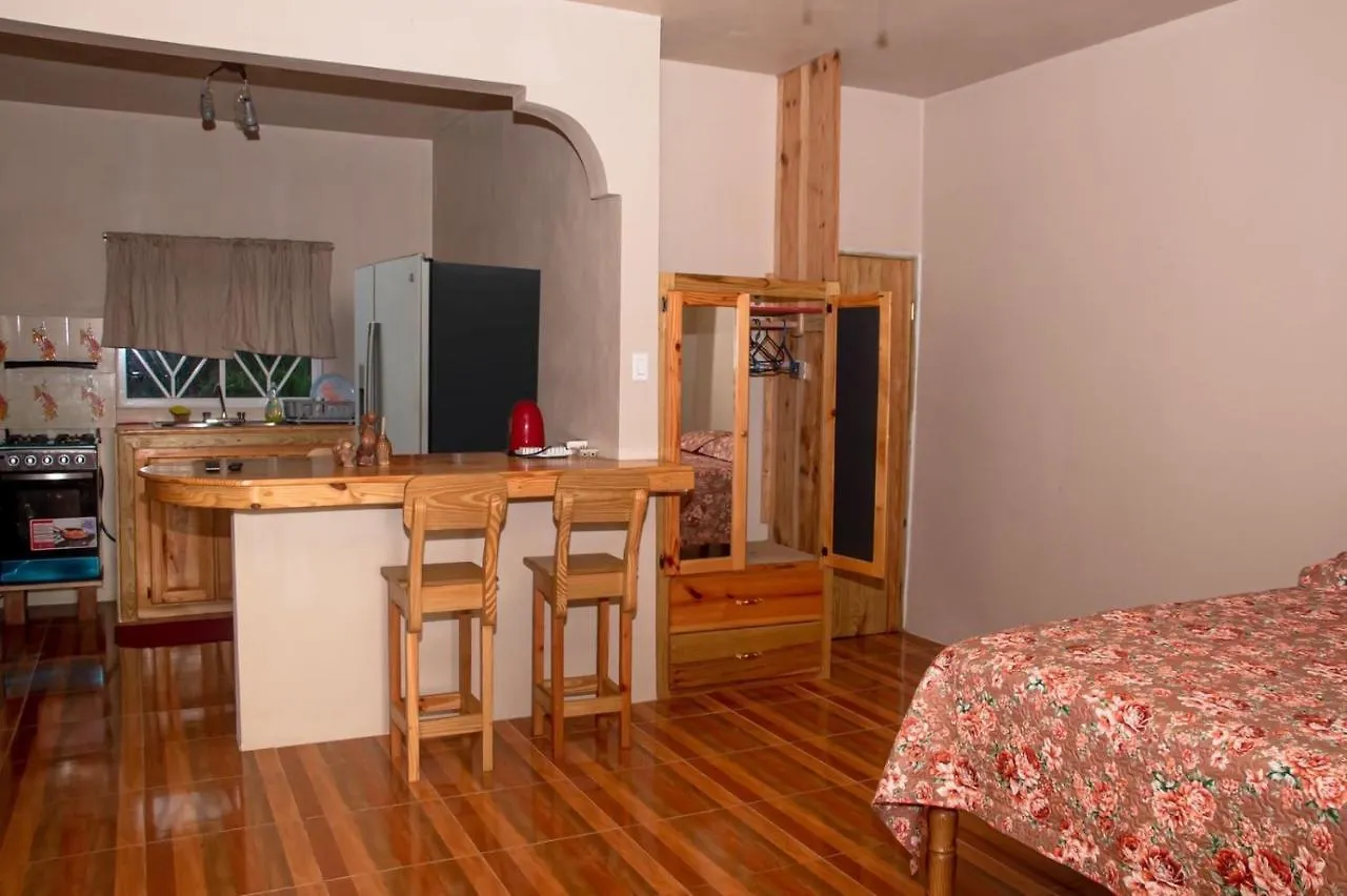 Apartment Seacret Studios - Cozy Jamaican Retreat Apts Negril