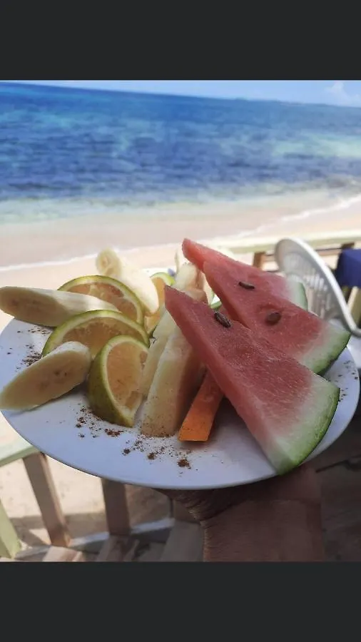 Apartment Seacret Studios - Cozy Jamaican Retreat Apts Negril