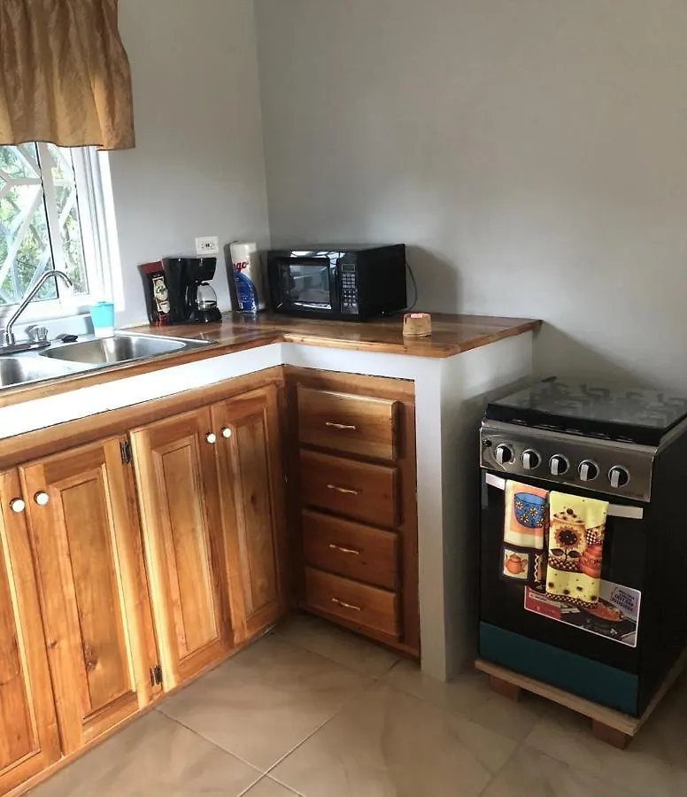 Seacret Studios - Cozy Jamaican Retreat Apts Negril 0*,
